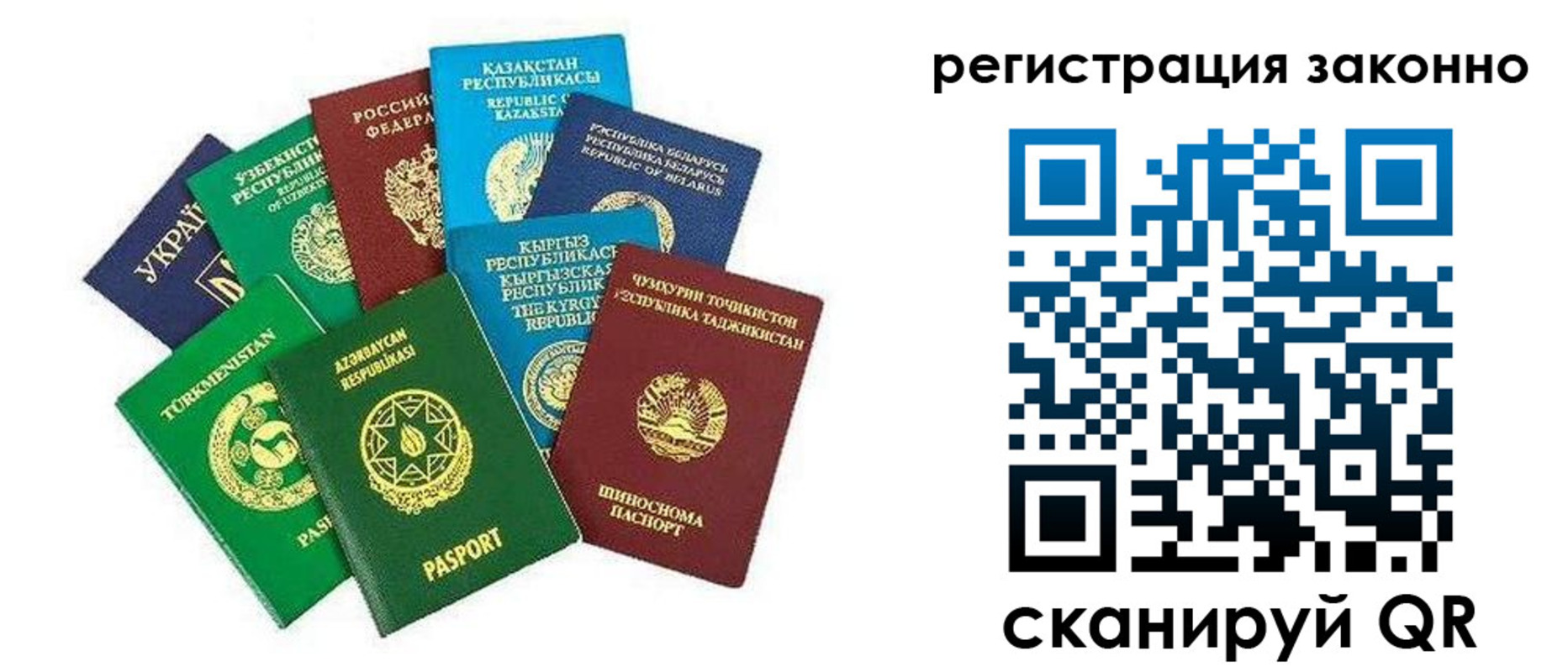 прописка 2025 в Елабуге